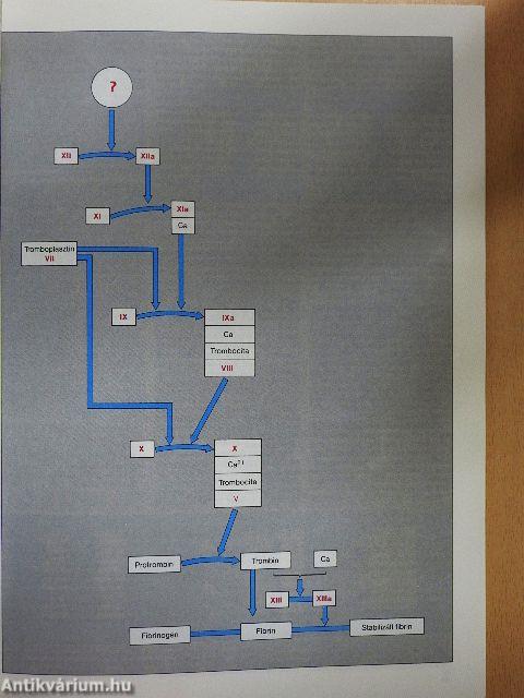 Tudomány 1985. november