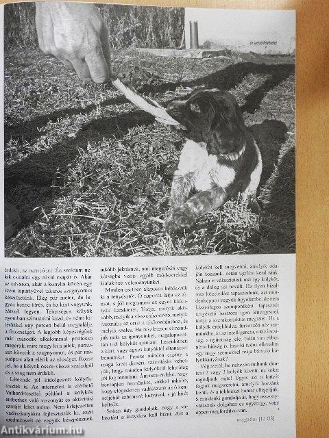 Magasles 2012. március