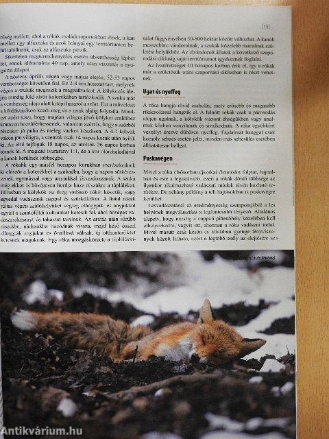 Magasles 2011. december