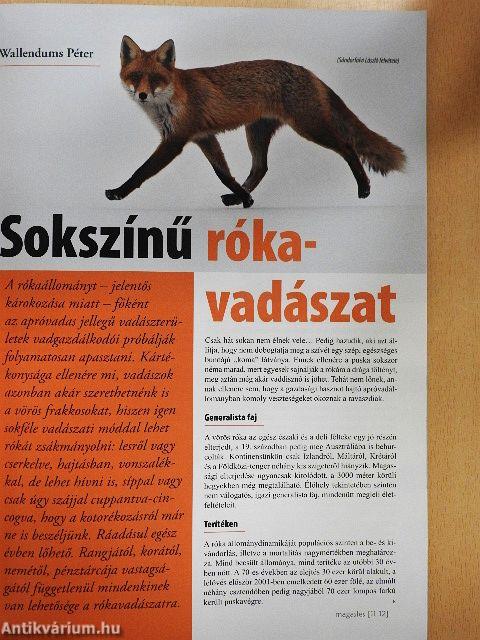 Magasles 2011. december