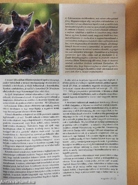 Magasles 2011. december