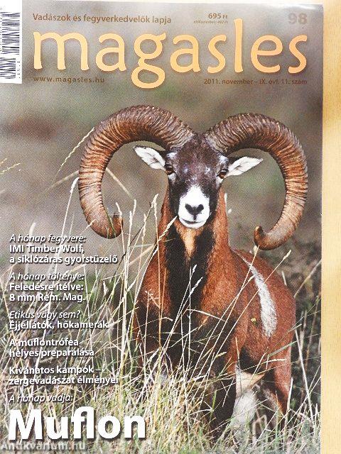 Magasles 2011. november