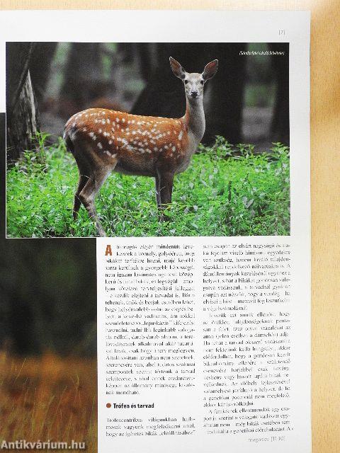 Magasles 2011. október