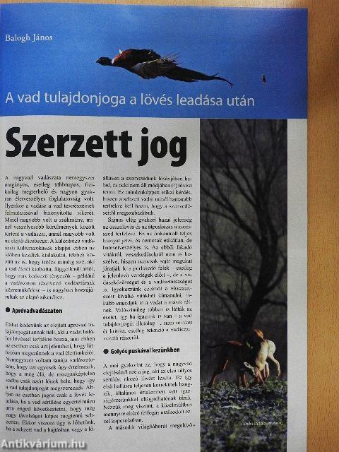 Magasles 2012. február