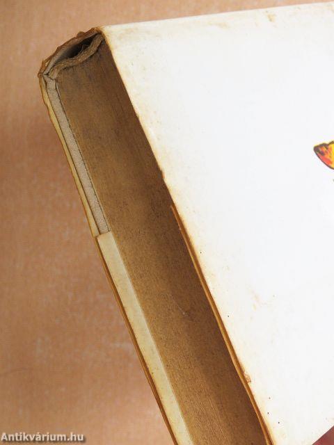 Az angyalarcú lány