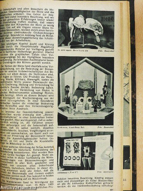 Leipziger Bienenzeitung Januar-Dezember 1955