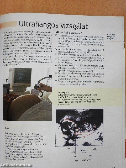 Terhesség hétről hétre