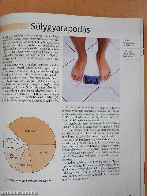 Terhesség hétről hétre