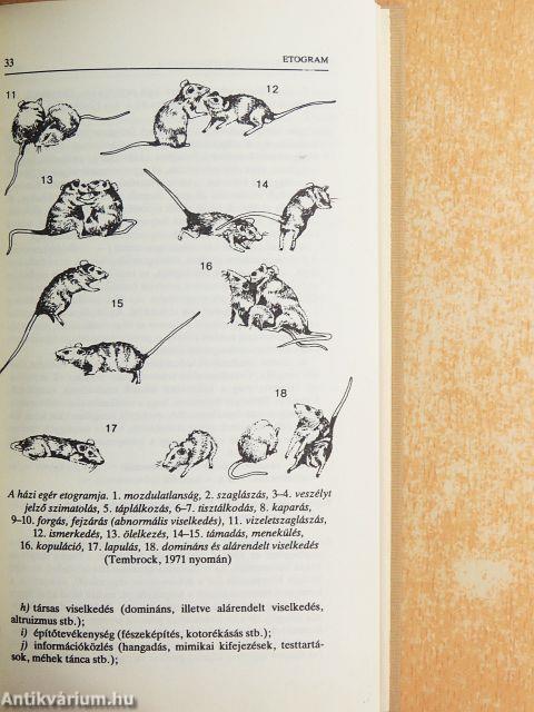 Etológia kislexikon