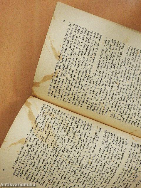 Az ismeretlen Szahara