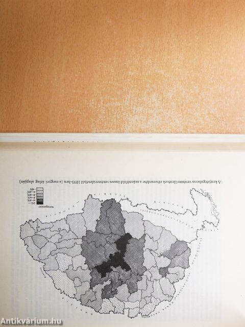 A tőkés gazdaság története Magyarországon