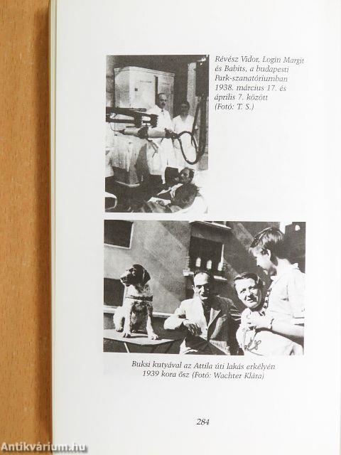 Babits Mihály válogatott versei