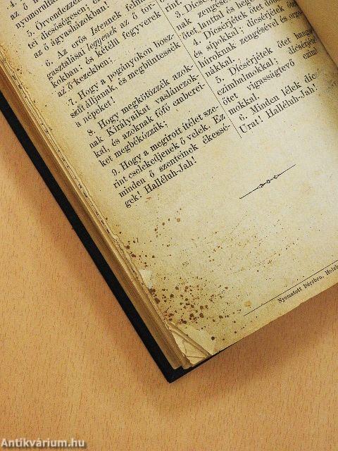 Új Testamentom/A zsoltárok könyve