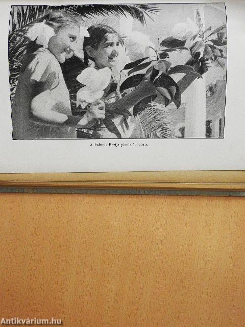 A Fekete-tengertől a Káspi-tóig