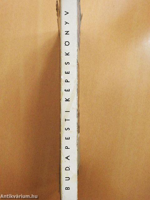 Budapesti képeskönyv