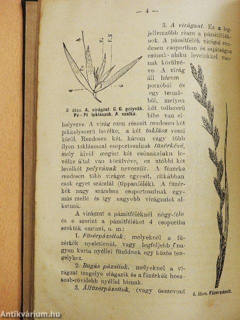 A legjobb takarmányfüvek termesztéséről