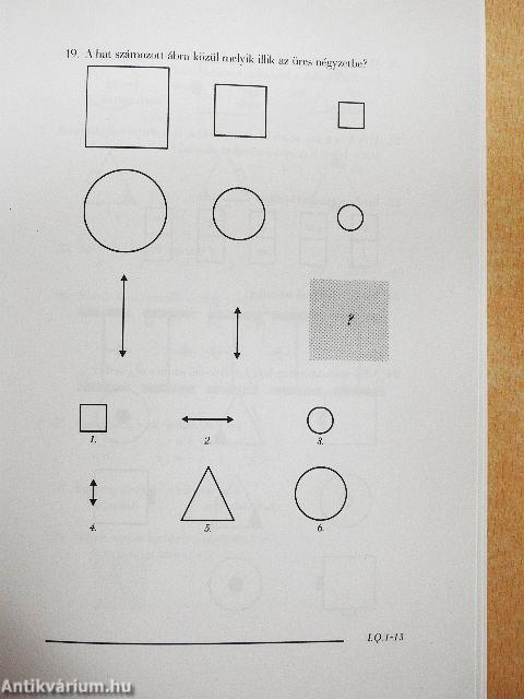 Intelligencia teszt I. Q.