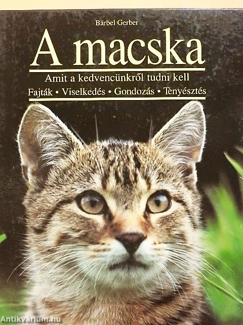 A macska