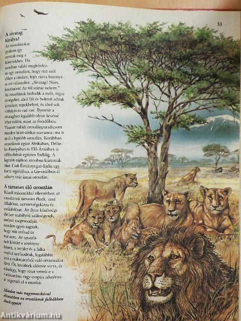 Emlősök szárazon, vízen és a levegőben