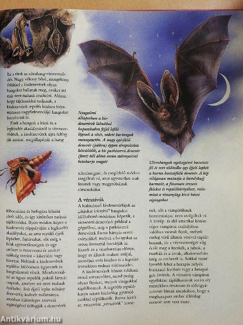 Emlősök szárazon, vízen és a levegőben