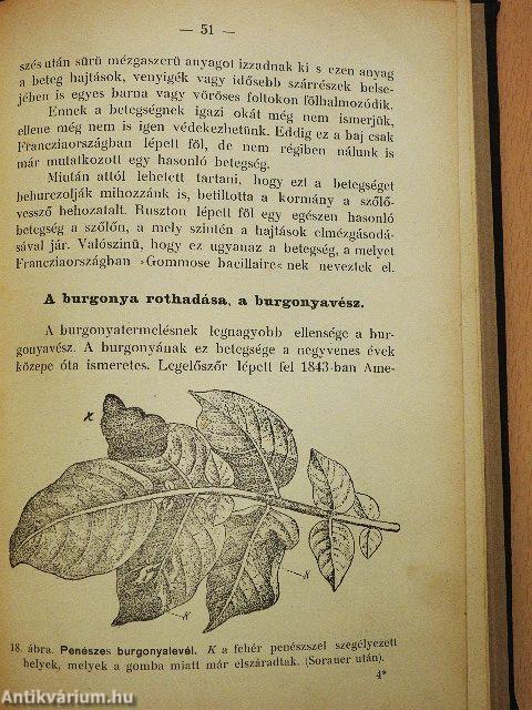 A gabonafélék, a burgonya és a szőlő legfontosabb gombabetegségei