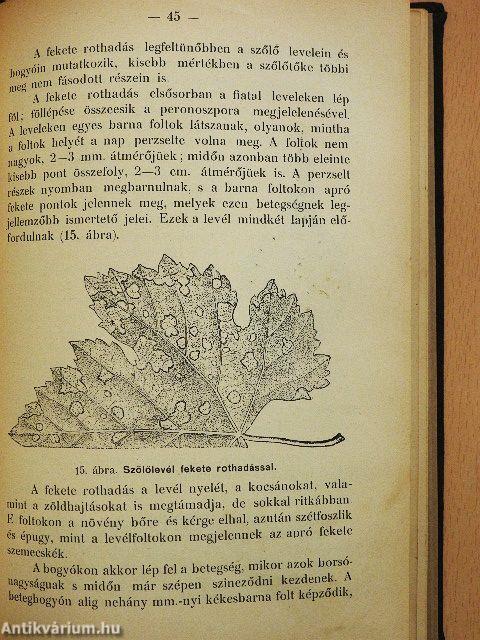 A gabonafélék, a burgonya és a szőlő legfontosabb gombabetegségei