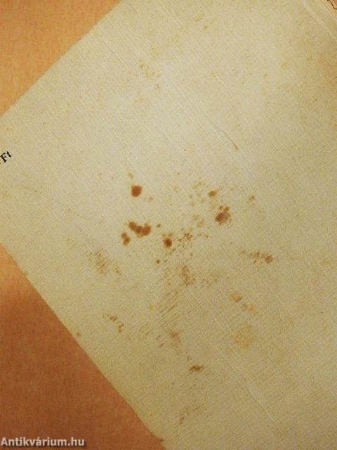 Jelky András kalandjai