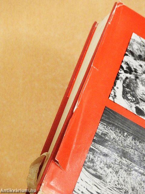 Az élet meghosszabbítható