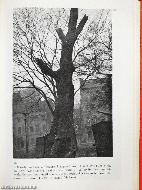 Az élet meghosszabbítható