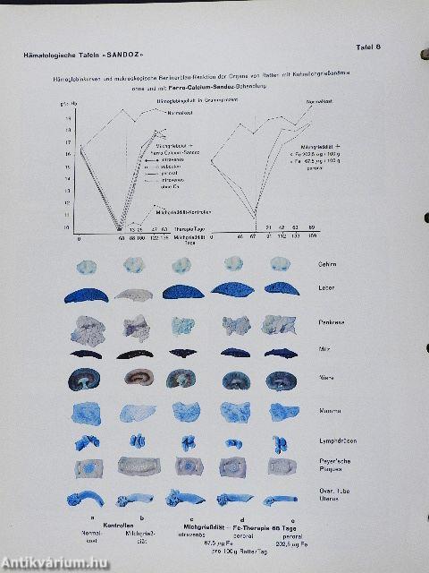 Hämatologische Tafeln Sandoz