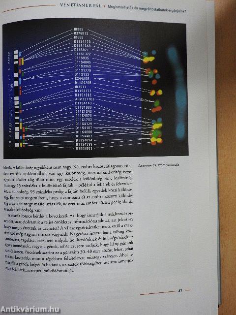 Mindentudás egyeteme 1.