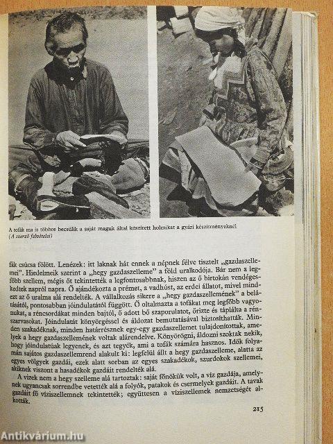 Fiúk Évkönyve 1973