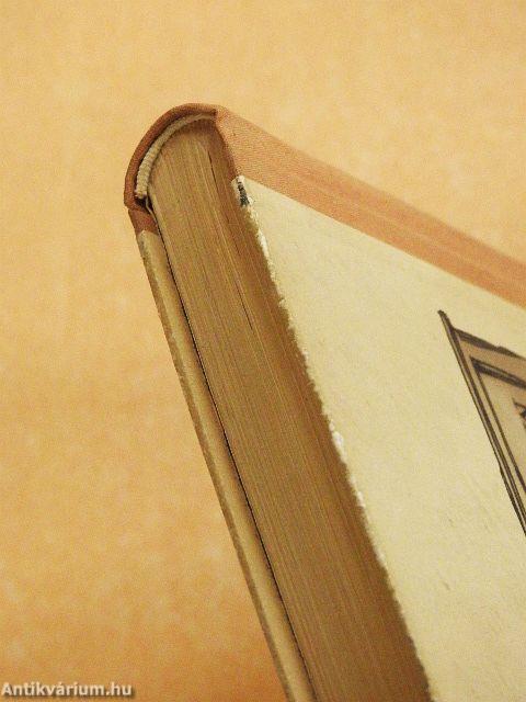 Marco Polo kalandos ifjúsága