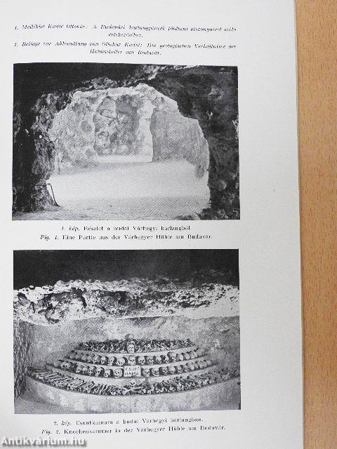 A budavári barlangpincék földtani viszonyai