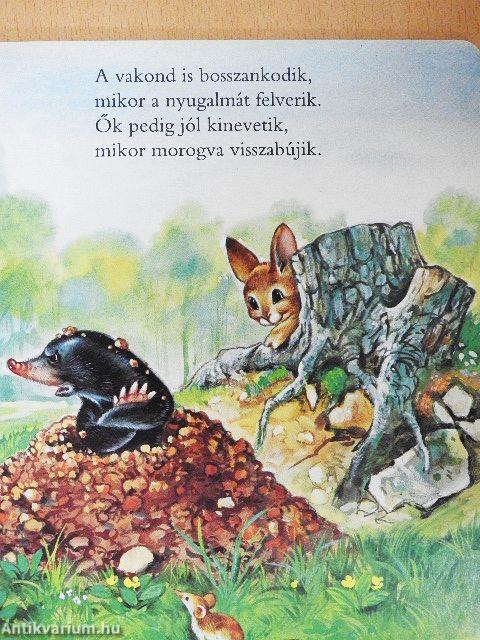 Barátaink a mókusok