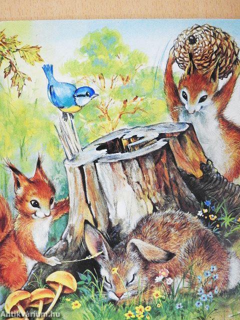 Barátaink a mókusok