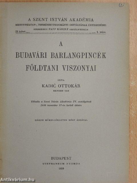 A budavári barlangpincék földtani viszonyai