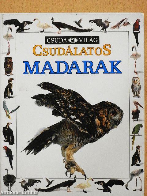 Csudálatos madarak