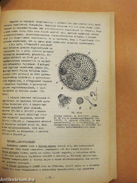 Növényrendszertani praktikum