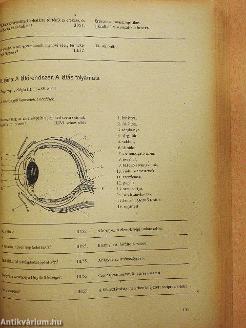 Biológiai korrepetitor