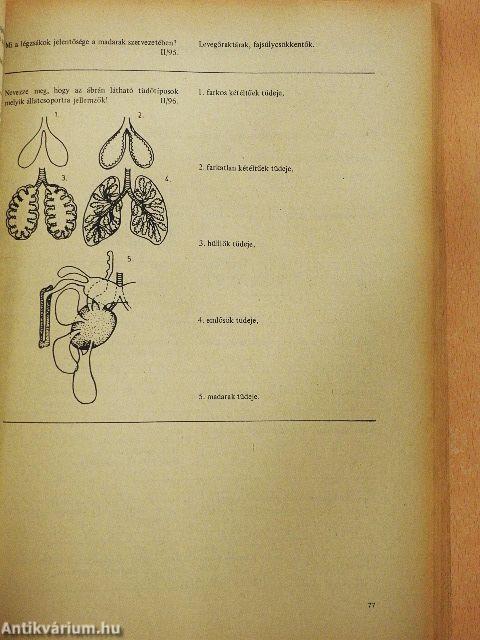 Biológiai korrepetitor