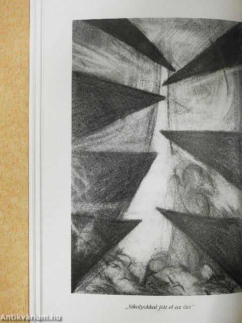 Megmentett tisztásaink