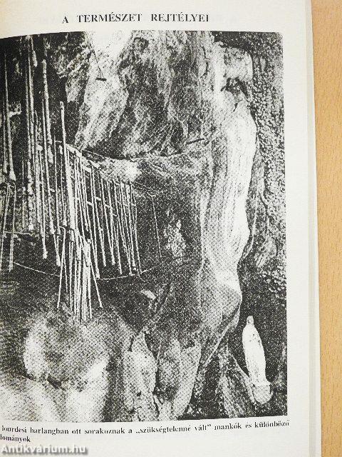 A világ legnagyobb rejtélyei