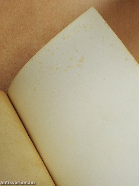 A rejtélyes Verne Gyula