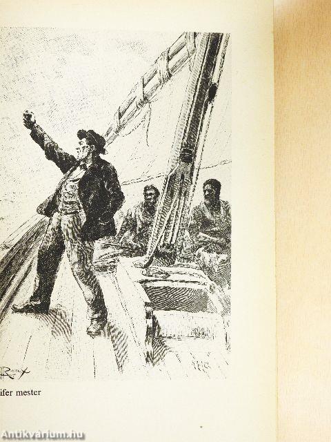 A rejtélyes Verne Gyula