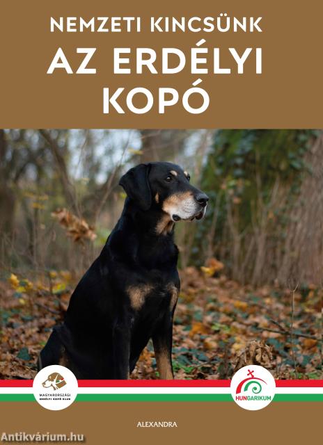 Az erdélyi kopó