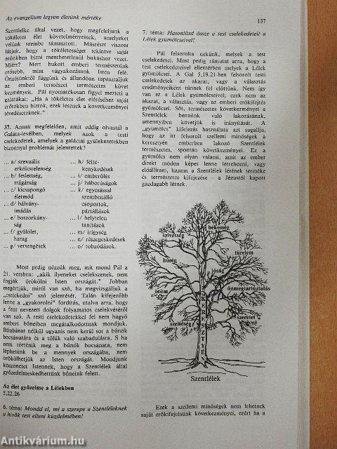 A Galatákhoz és a Rómaiakhoz írt levél