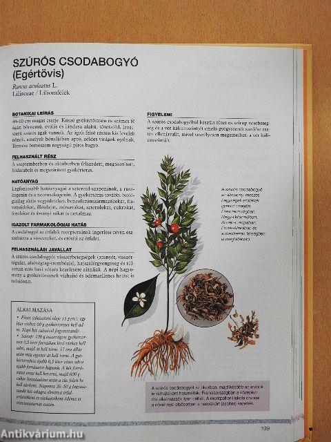 Gyógyító természet