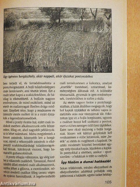 AS-M kalendárium 2003