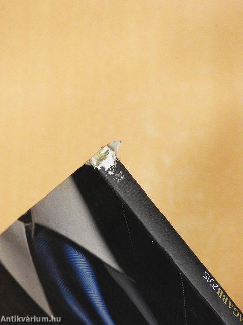 A 100 leggazdagabb 2015